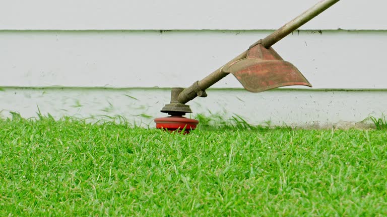 Best Lawn Mowing  in Auburn, CA